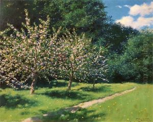 Apple trees in blossom.