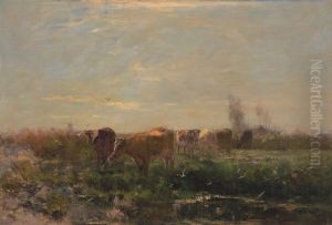 Vroege morgen