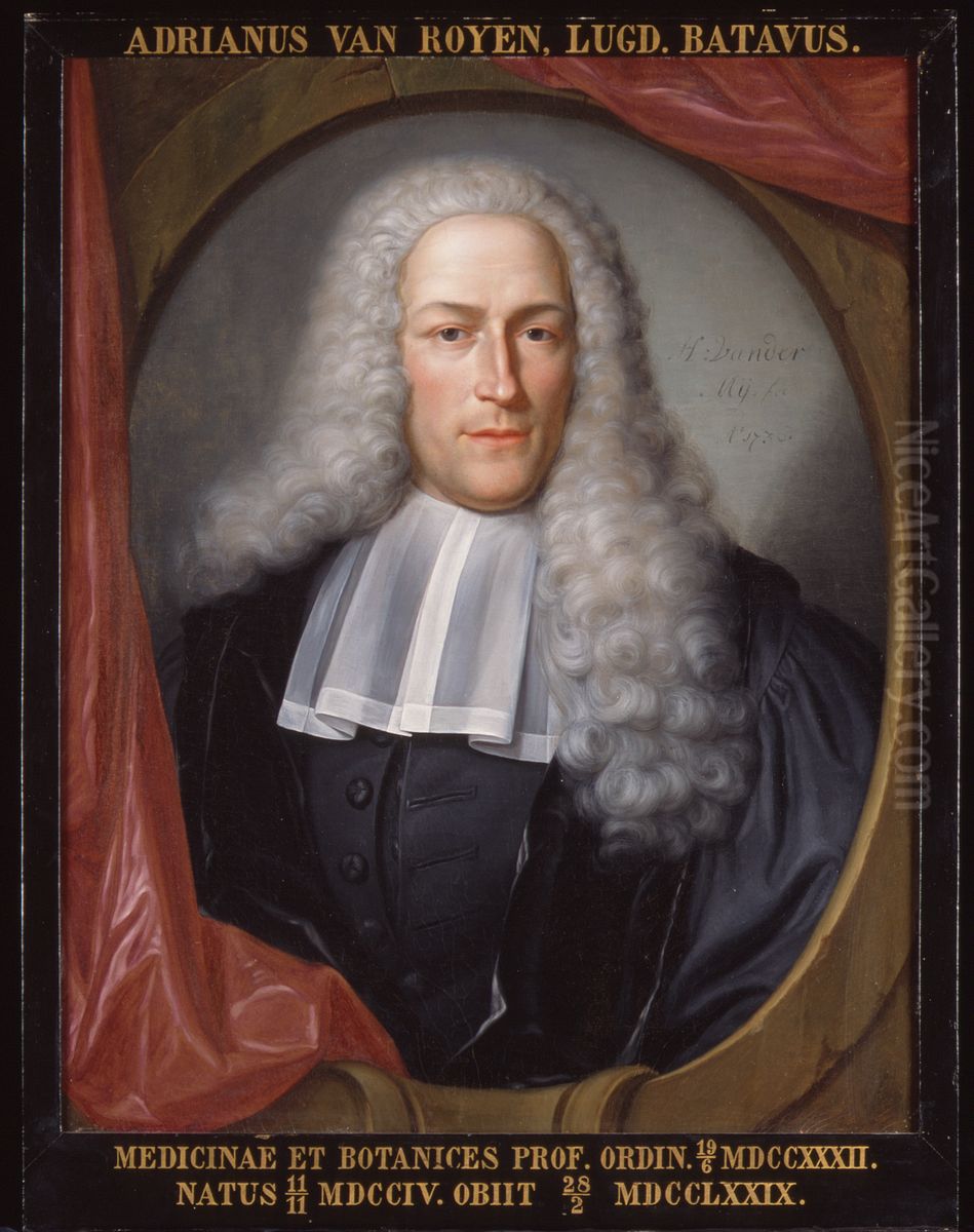 Portret van Adriaan van Royen, hoogleraar Kruidkunde en Geneeskunde te Leiden Oil Painting by Hieronymus van der Mij