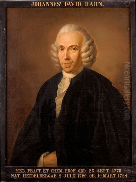 Portret van Johannes David Hahn, hoogleraar Geneeskunde te Leiden Oil Painting by Nicolaas Reyers