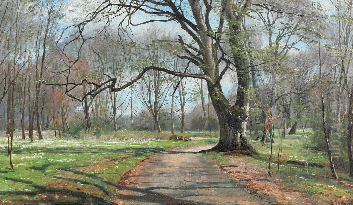 Spring forest with anemones and beech trees Oil Painting by Christian Zacho