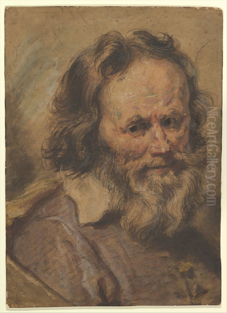 Head of a Bearded Man Oil Painting by Giovanni Serodine