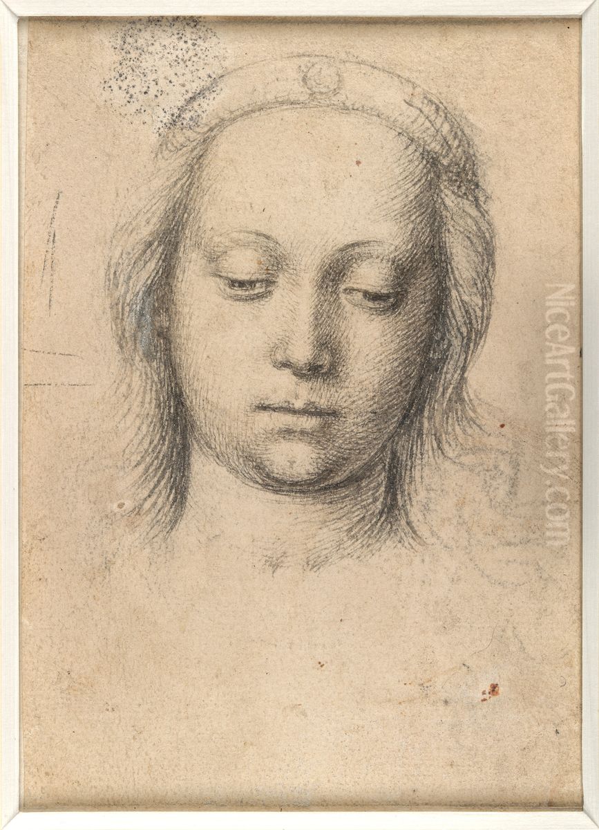 Female Head Oil Painting by Gerard David