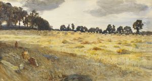 The cornfield