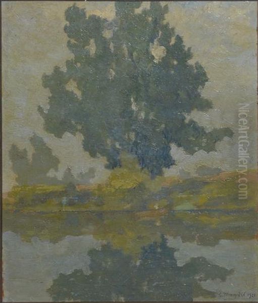 Krajina (Drevo ob vodi) Oil Painting by Srecko Magolic