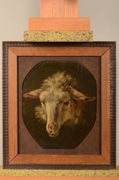 Schaapskop Oil Painting by Pieter Plas
