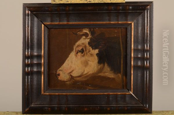 Koeienkop Oil Painting by Pieter Plas