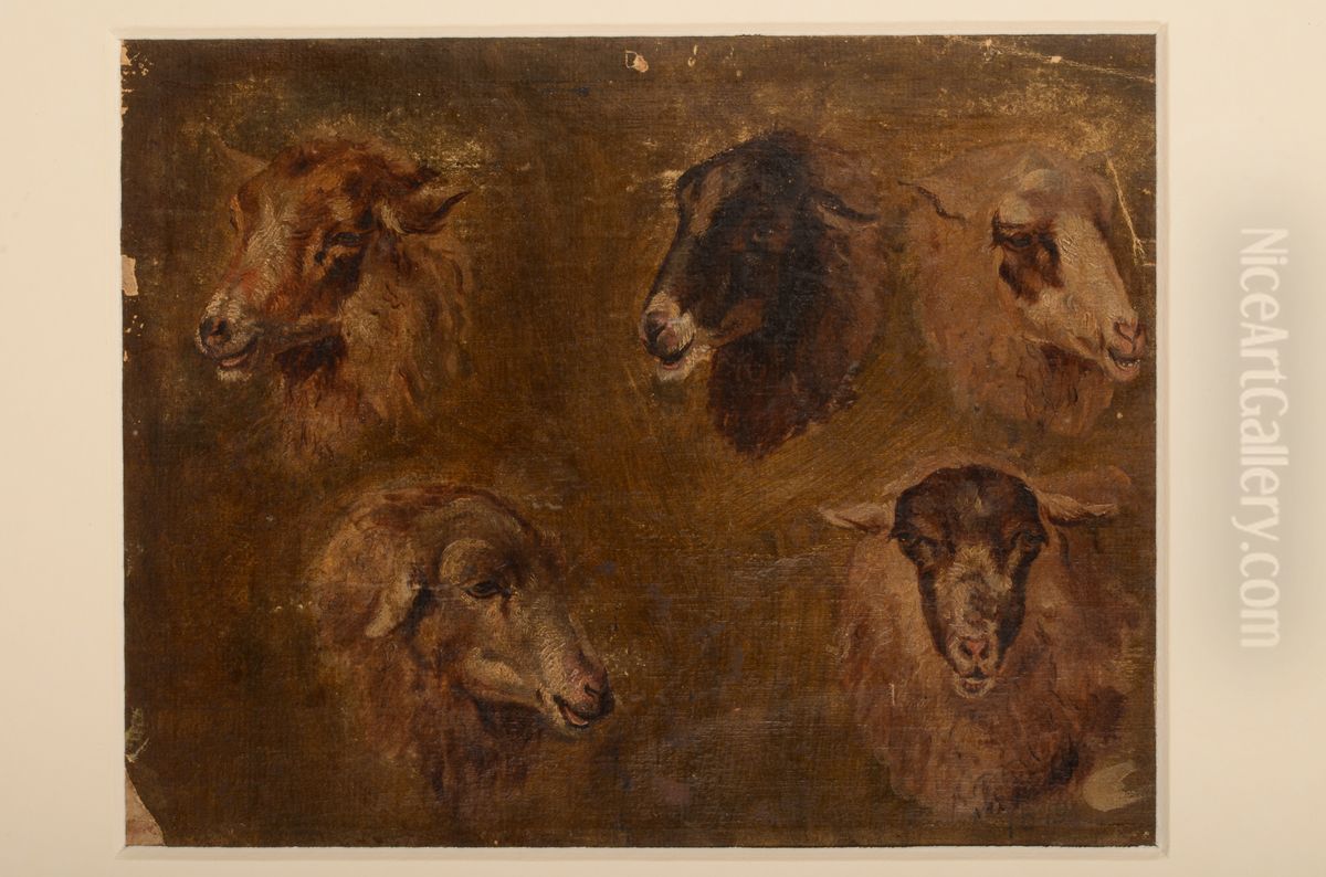 Studie van vijf schapenkoppen Oil Painting by Pieter Plas