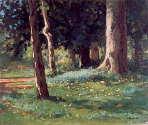 Boslandschap