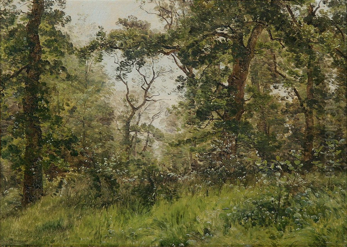 Woodlands in summer. Oil Painting by Janus Andreas Bartholin La Cour