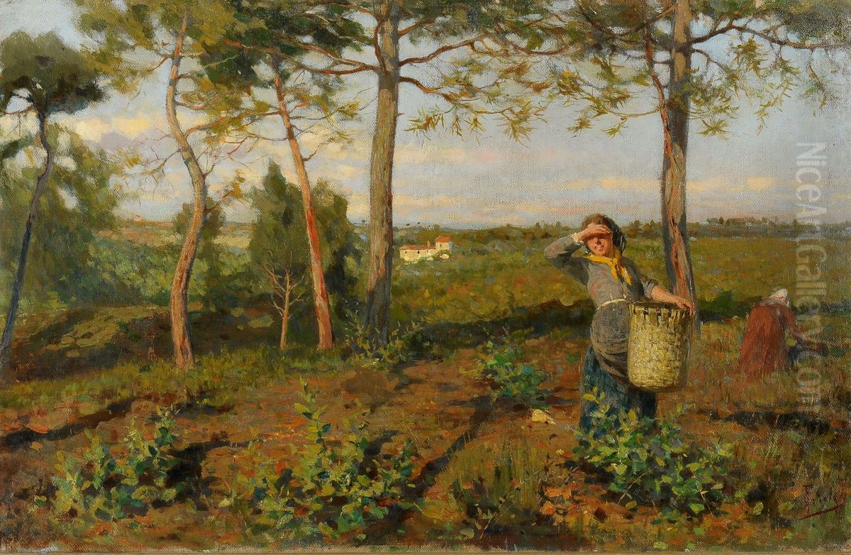 Contadine in toscana Oil Painting by Francesco Gioli