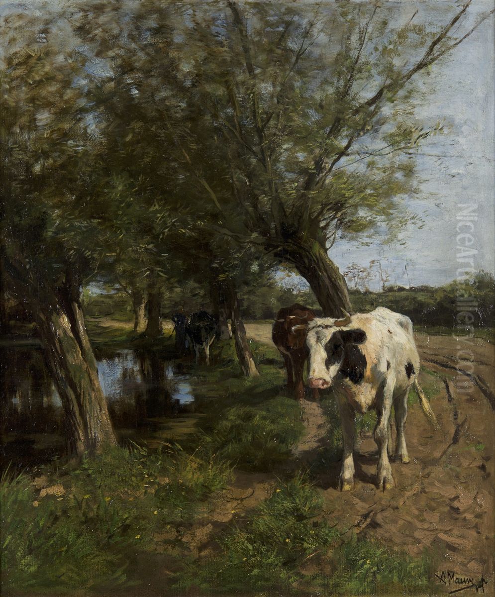 Een schaduwrijke oever Oil Painting by Anton Mauve