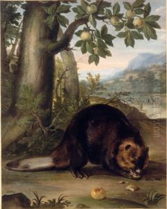 Castor