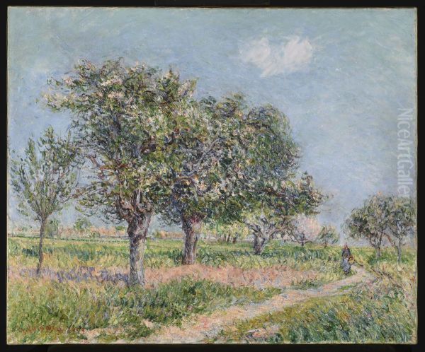 Pommiers en fleurs en Normandie Oil Painting by Gustave Loiseau