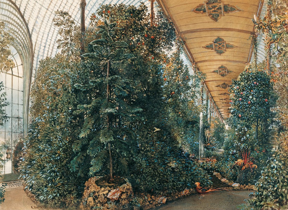 Innenansicht des Palmenhauses von Schloss Eisgrub Oil Painting by Rudolf von Alt