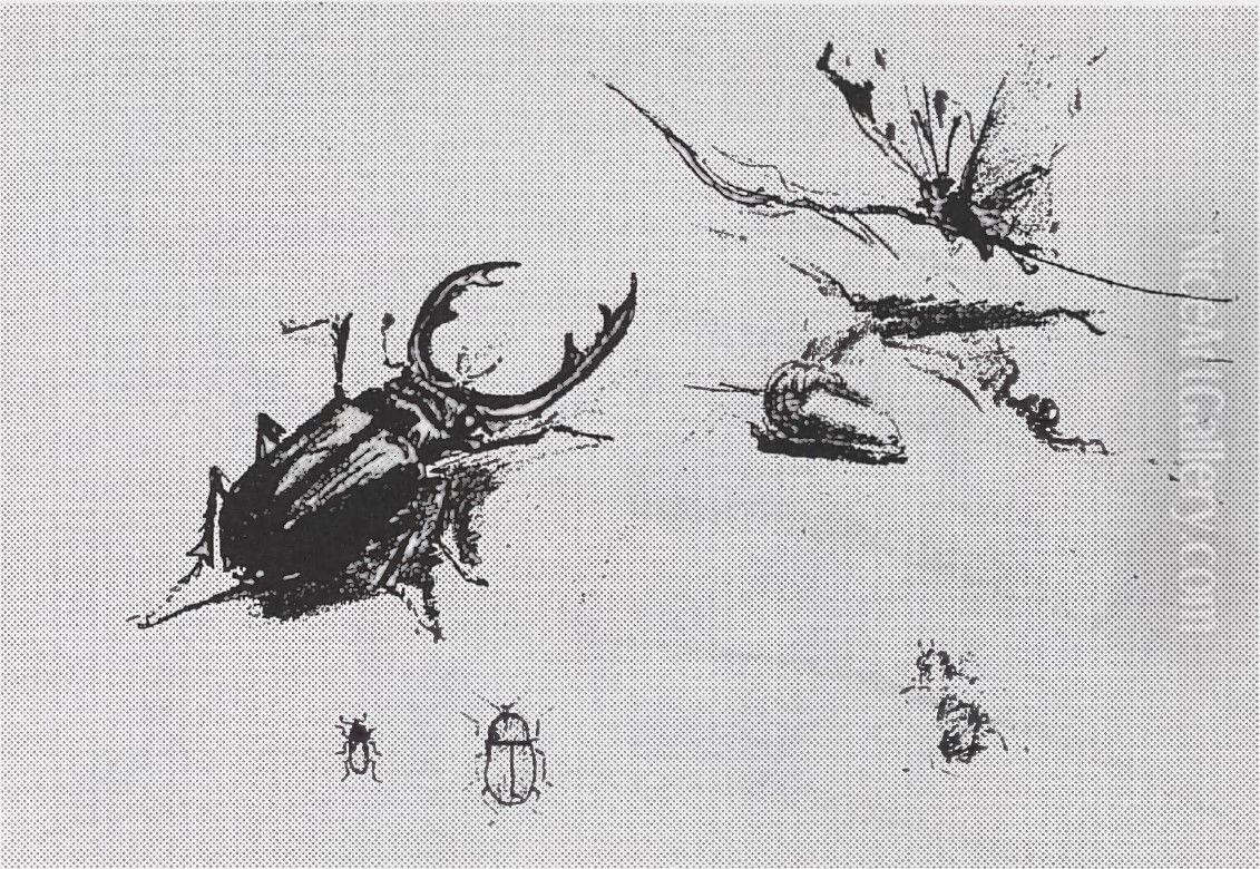 Butterfly and stag beetle Oil Painting by Stanislaw Ignacy Witkiewicz (Witkacy)