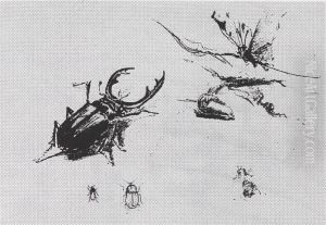 Butterfly and stag beetle