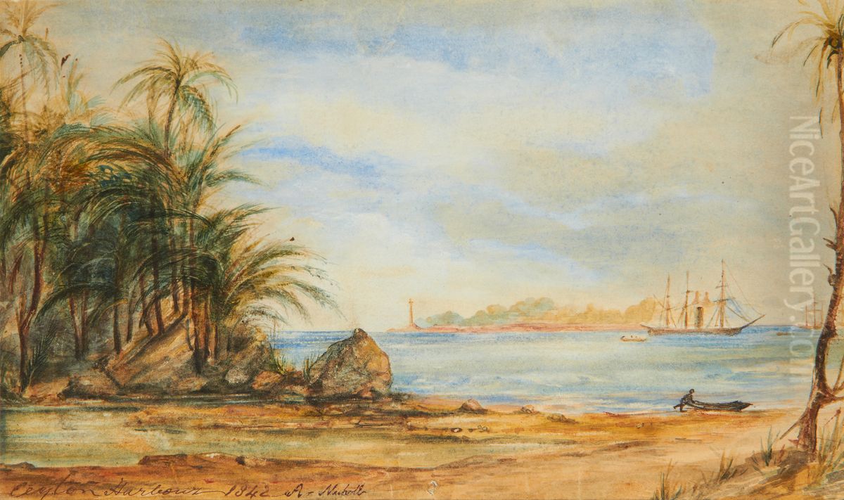 A Ceylon harbour Oil Painting by Andrew Nicholl