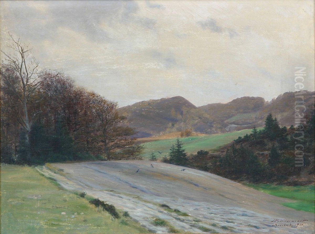 Hilly landscape at Svejbaek. Oil Painting by Johan Peter Wildenrath