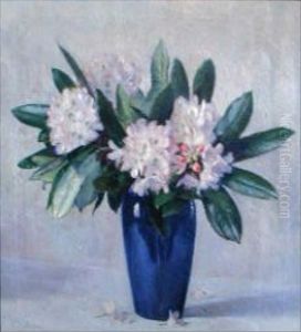 Rhododendrons