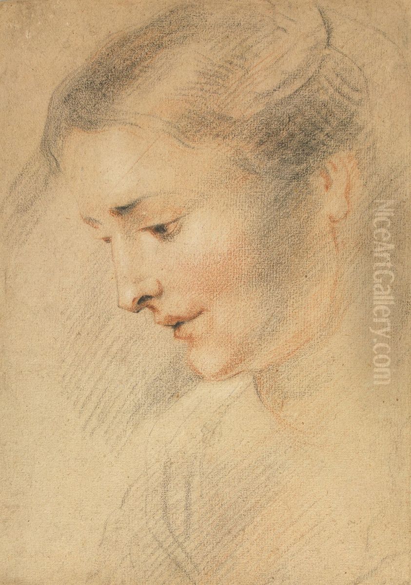 Etude de tete de femme Oil Painting by Jean-Antoine Watteau