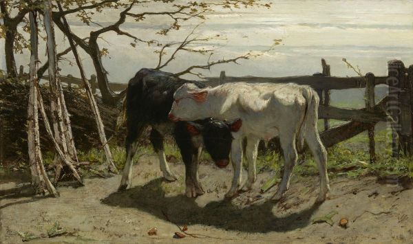 The calves Oil Painting by Willem Maris