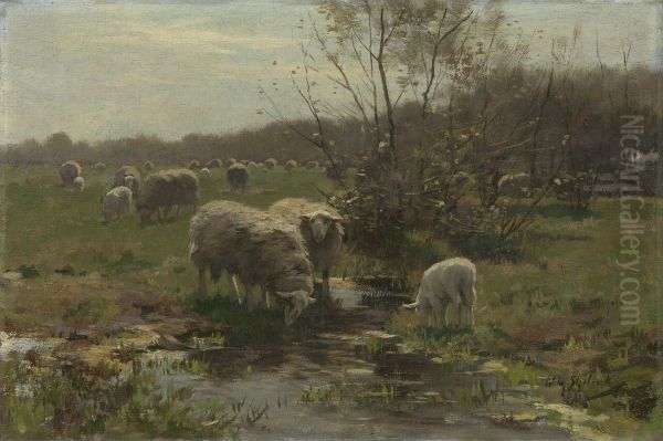 Schapen op de hei bij Lunteren Oil Painting by Willem Steelink