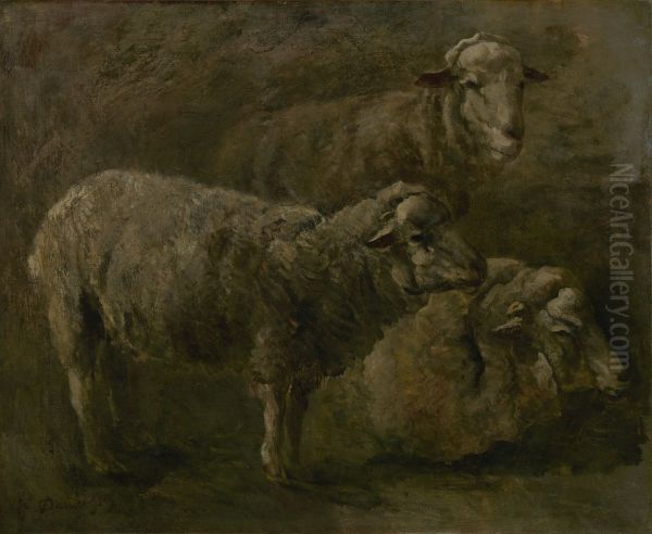 Schapen Oil Painting by Charles-Francois Daubigny