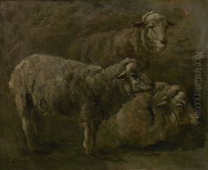 Sheep