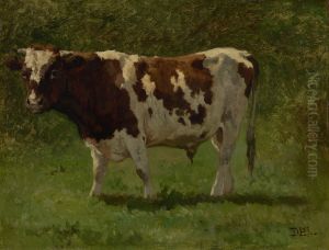 The spotted bull