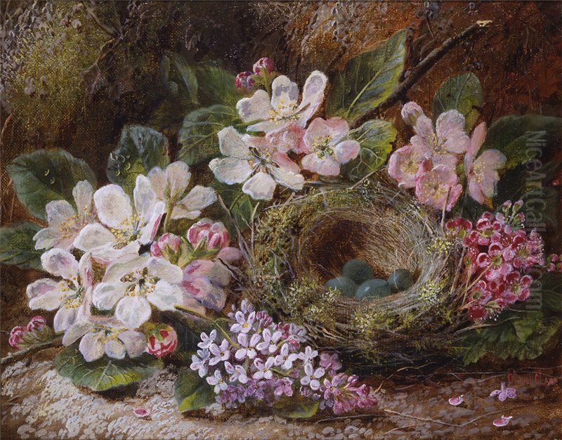 Apple Blossom and a Bird's Nest Oil Painting by Oliver Clare