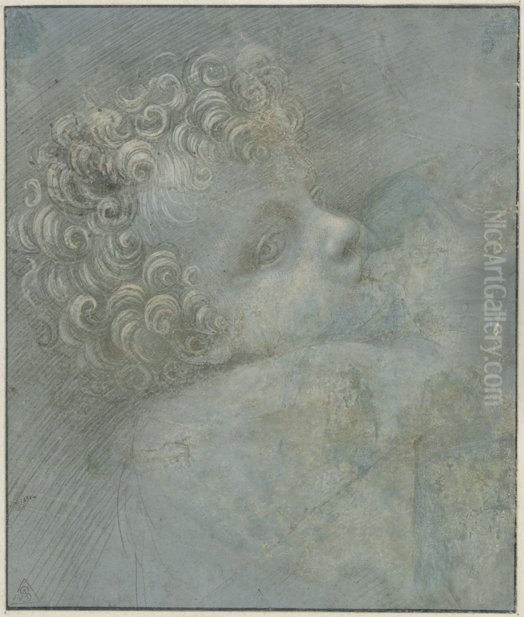 Study for the Head of the Infant Christ at the Breast of the Virgin Oil Painting by Giovanni Antonio Boltraffio