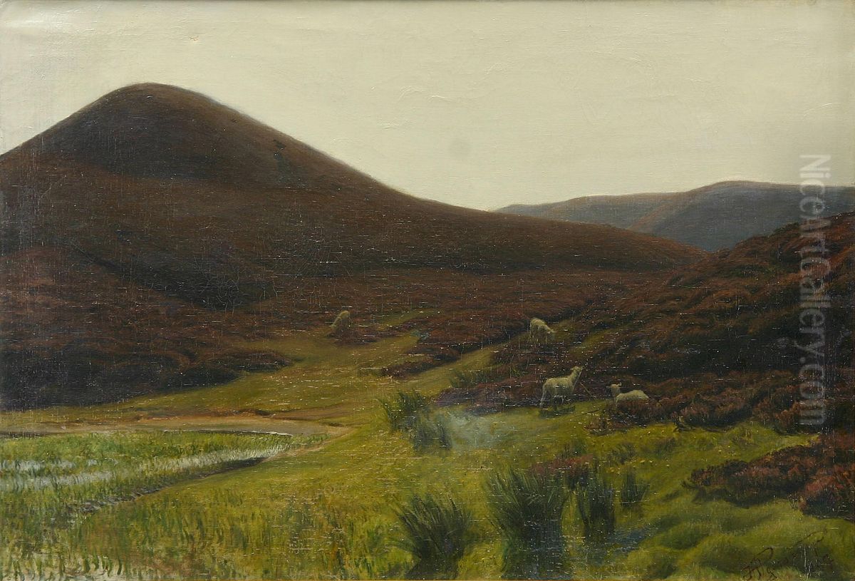 A hilly heath landscape with sheep. Oil Painting by Hans Agersnap