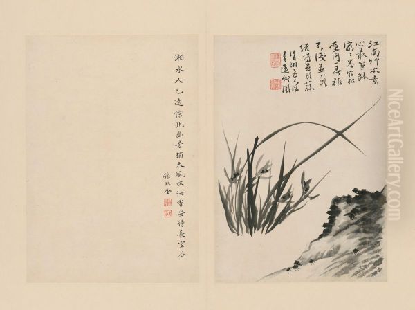 <<yuan ji lan zhu ce-po shi lan cao>> Oil Painting by Shitao Daoji