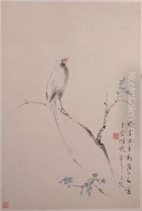 <<hua nie hua niao ce>>
