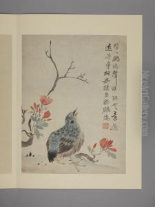 <<hua nie hua niao tu ce>>