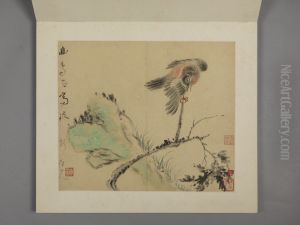 <<hua nie hua niao ce>>