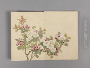 <<dong gao hua hui xiao ce>>