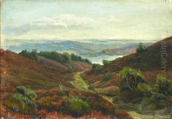 View of a lake near Silkeborg. Oil Painting by Hans Agersnap