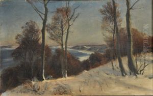 Winter landscape. (35 x 56 cm).