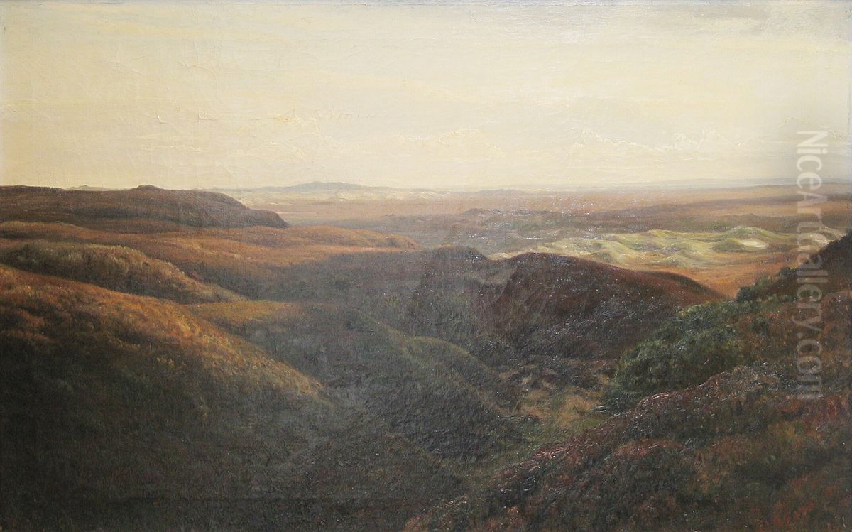 View from the moors of Jutland. Oil Painting by Hans Agersnap