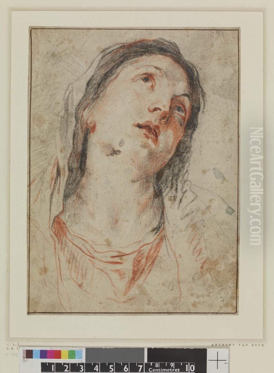 Head of the Virgin, study for a painting Oil Painting by Sir Anthony Van Dyck