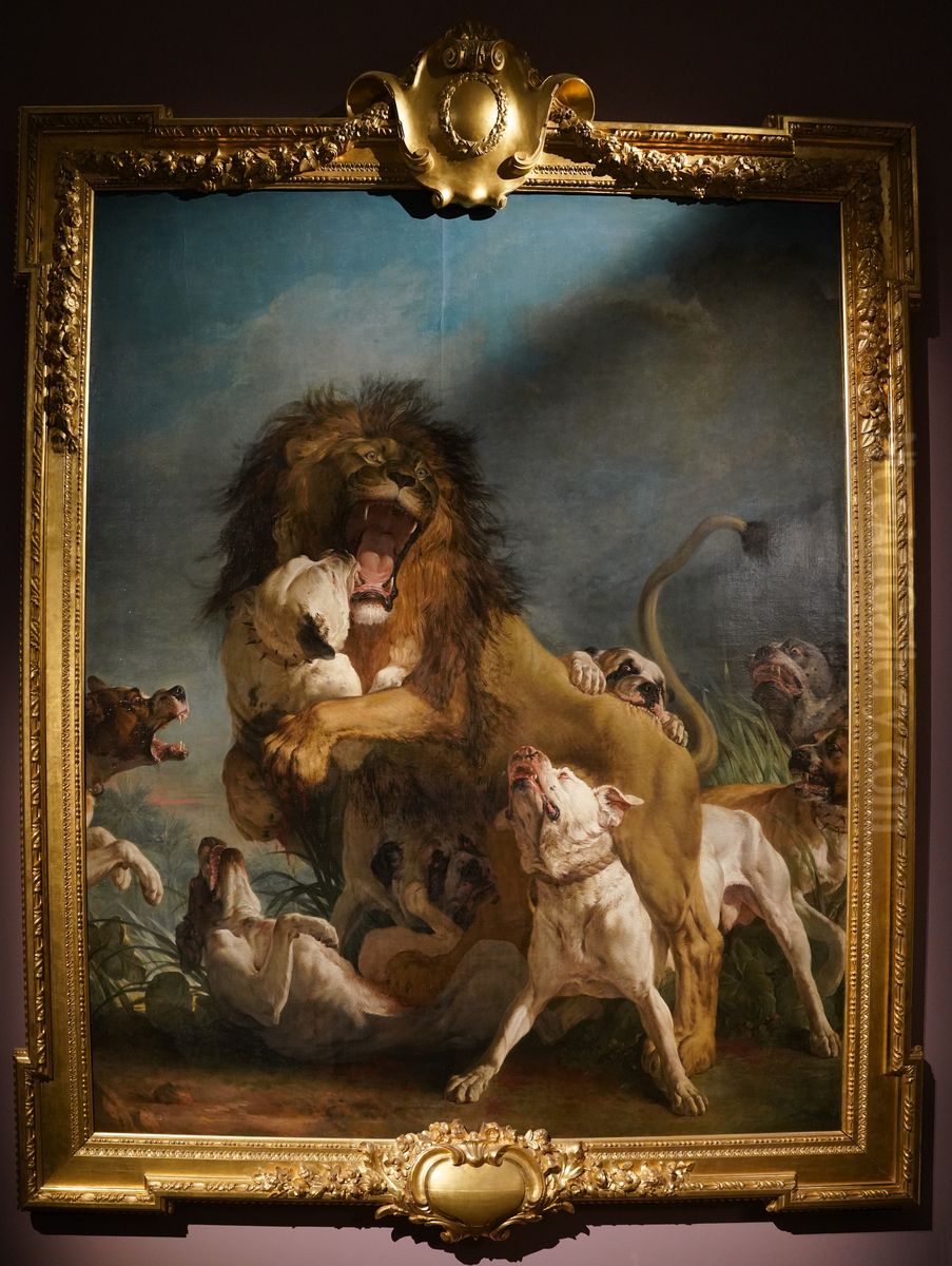 Afrikaanse leeuw aangevallen door vechthonden Oil Painting by Jean-Jacques Bachelier