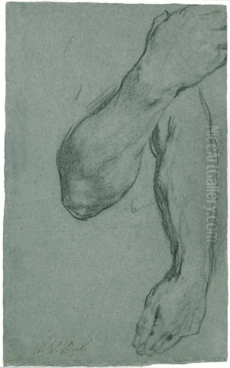 Two Studies of a Man's Forearm Oil Painting by Sir Anthony Van Dyck
