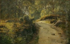Woodlands on Bornholm.