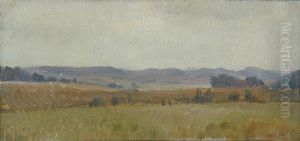 Landscape with hills near Jyderup.