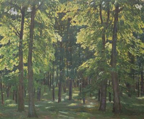 Inside a Forest Oil Painting by Antonin Hudecek