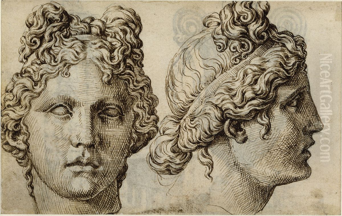 Two Studies of the Head of the Apollo Belvedere Oil Painting by Maarten Van Heemskerck