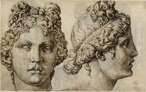 Two Studies of the Head of the Apollo Belvedere