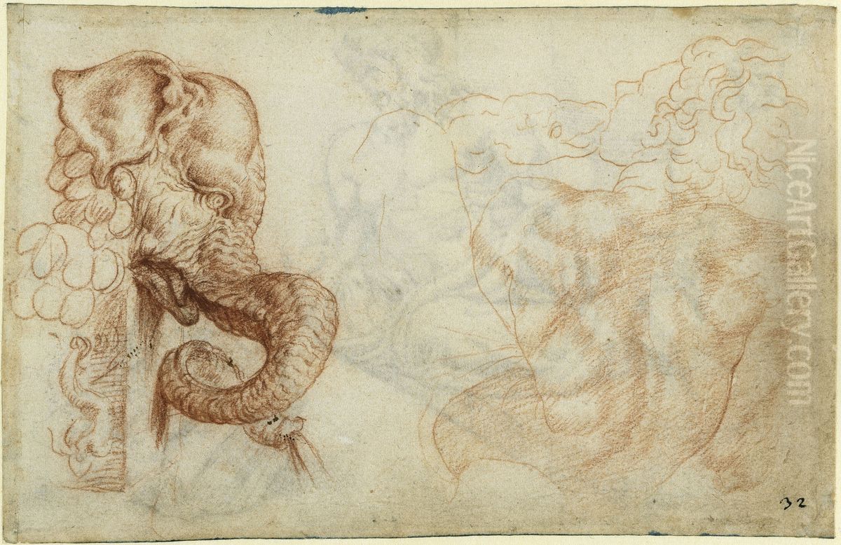 Elephant fountain in Villa Madama, figure from the ceiling of the Sistina Oil Painting by Maarten Van Heemskerck